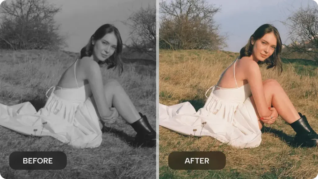 Colorize photos with realistic look