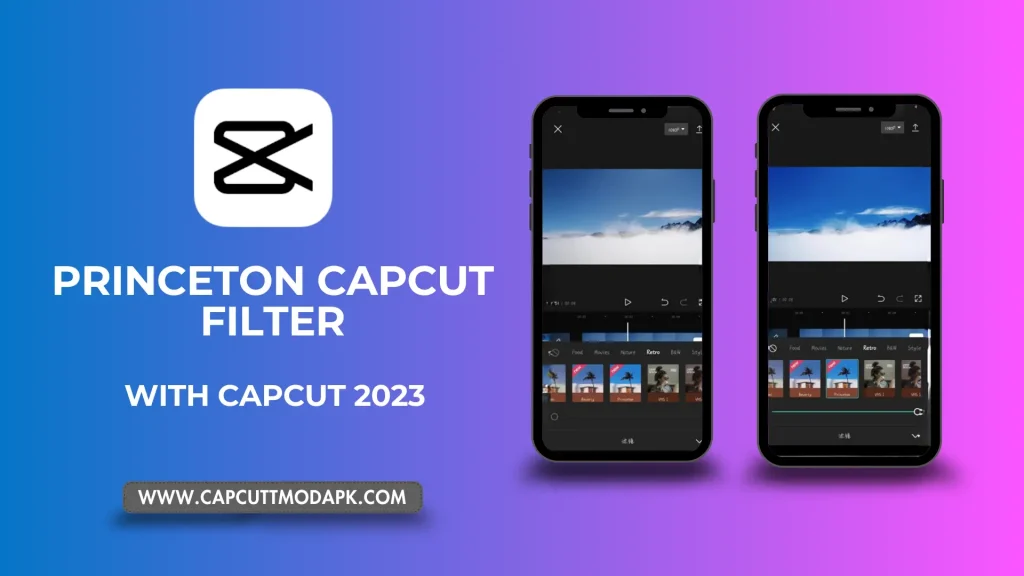 Princeton CapCut Filter